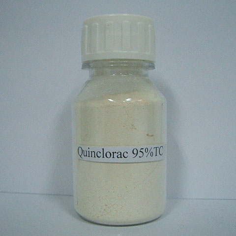 Quinclorac; Quinchlorac ; CAS NO 84087-01-4; 113875-40-4; EC NO 402-780-1; 617-530-9; selective post-emergent herbicide crabgrass killer