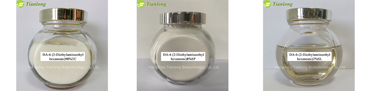 DA-6&nbsp;(2-Diethylaminoethyl&nbsp;hexanoate)
