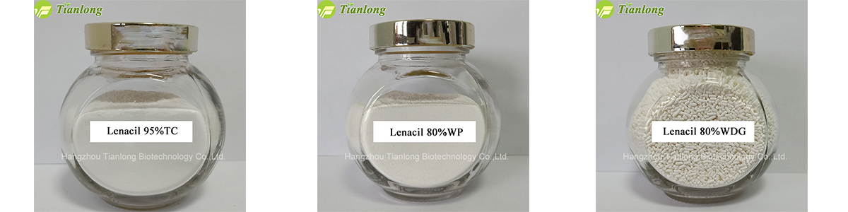 Lenacil 