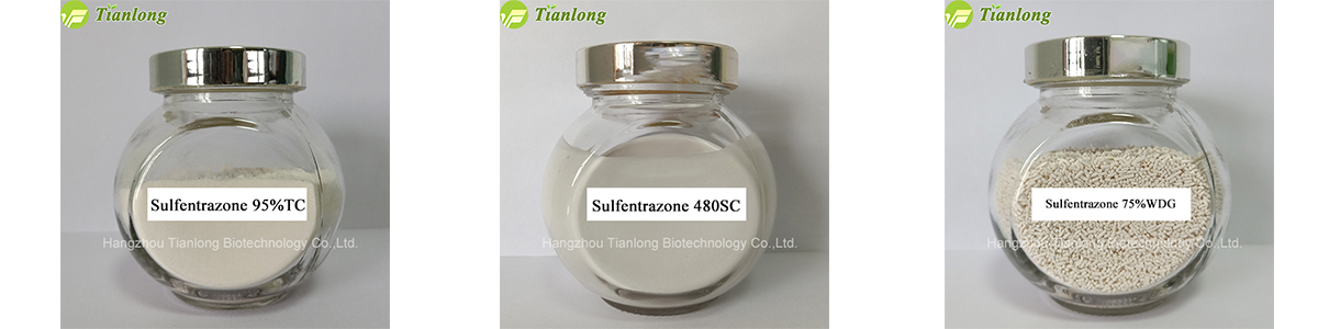 Sulfentrazone 